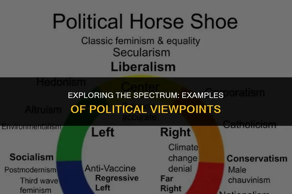 what are some examples of political views