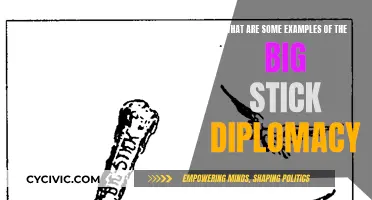 The Big Stick Diplomacy: Notable Examples and Impacts