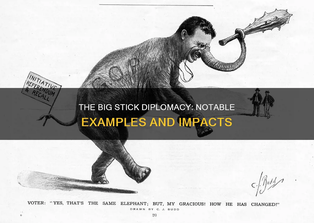 what are some examples of the big stick diplomacy