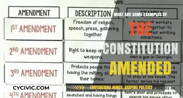 Amending the Constitution: Examples and Their Impact