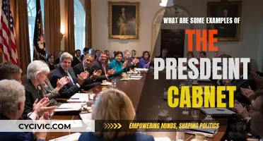 Presidential Cabinet: Examples and Their Roles