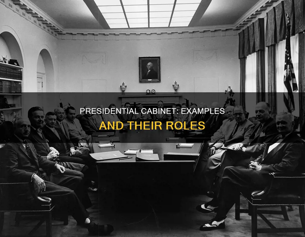 what are some examples of the presdeint cabnet