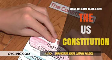 The US Constitution: Facts and Fundamentals