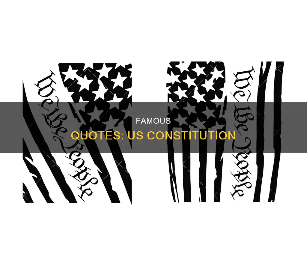 what are some famous quotes from the us constitution