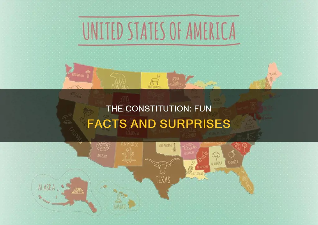 what are some fun facts about the constitution