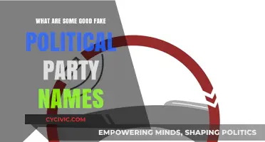 Creative and Clever Fake Political Party Names to Spark Imagination
