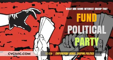 Interest Groups Funding Political Parties: Key Players and Their Influence