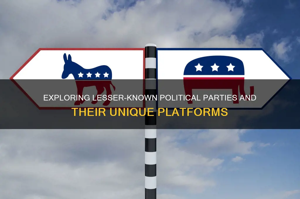 what are some minor political parties