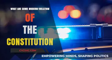 Unconstitutional Modern Violations: A Breach of Fundamental Rights