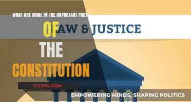 Vital Constitution Elements Every Citizen Should Know