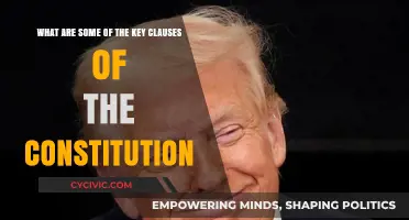 Understanding the Constitution: Key Clauses Explained