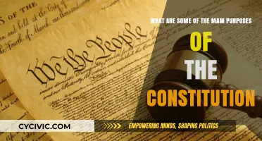 Understanding the Constitution's Core Purposes