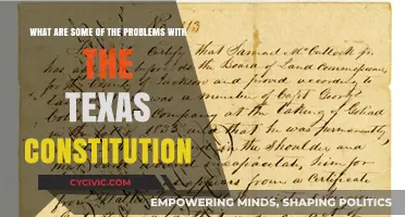Texas Constitution: What are the Flaws?