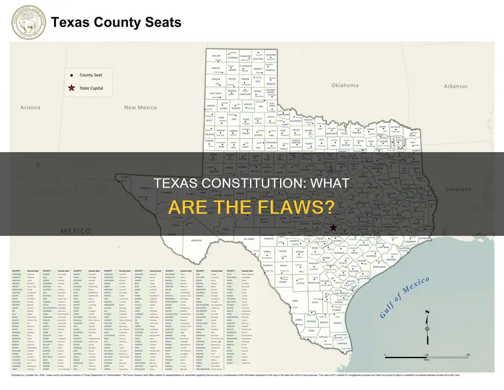 what are some of the problems with the texas constitution
