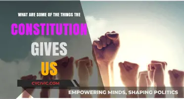 The Constitution's Gifts: Our Rights and Freedoms
