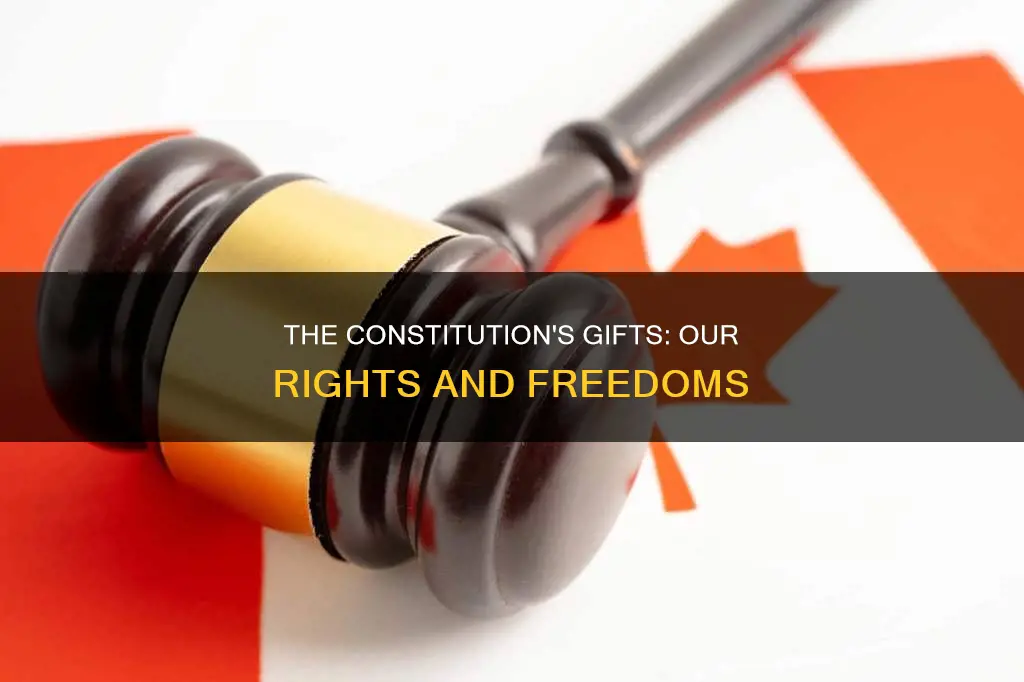 what are some of the things the constitution gives us