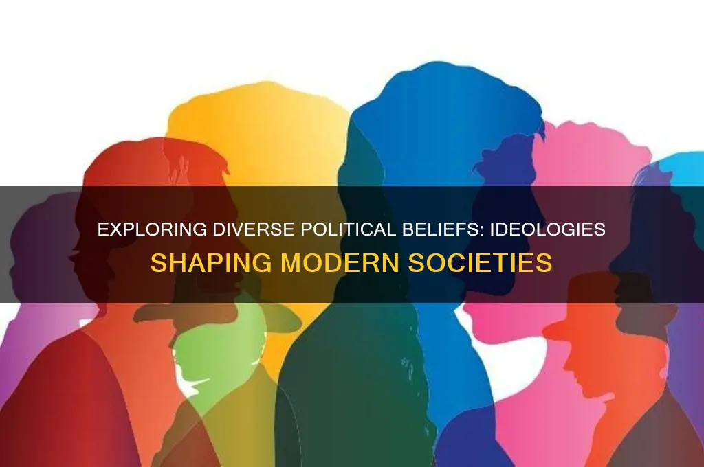 what are some political beliefs