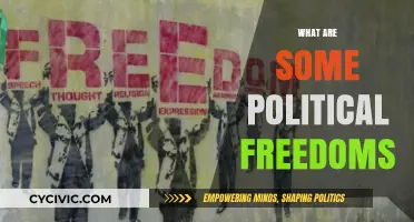 Exploring Political Freedoms: Rights, Liberties, and Democratic Principles Explained