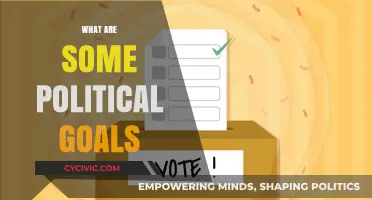 Understanding Political Goals: Objectives Shaping Nations and Global Policies