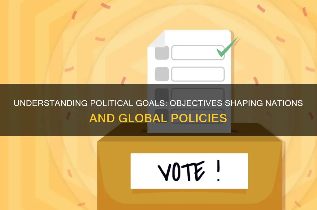 what are some political goals