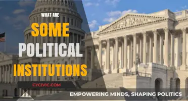 Understanding Political Institutions: Key Structures Shaping Governance and Society