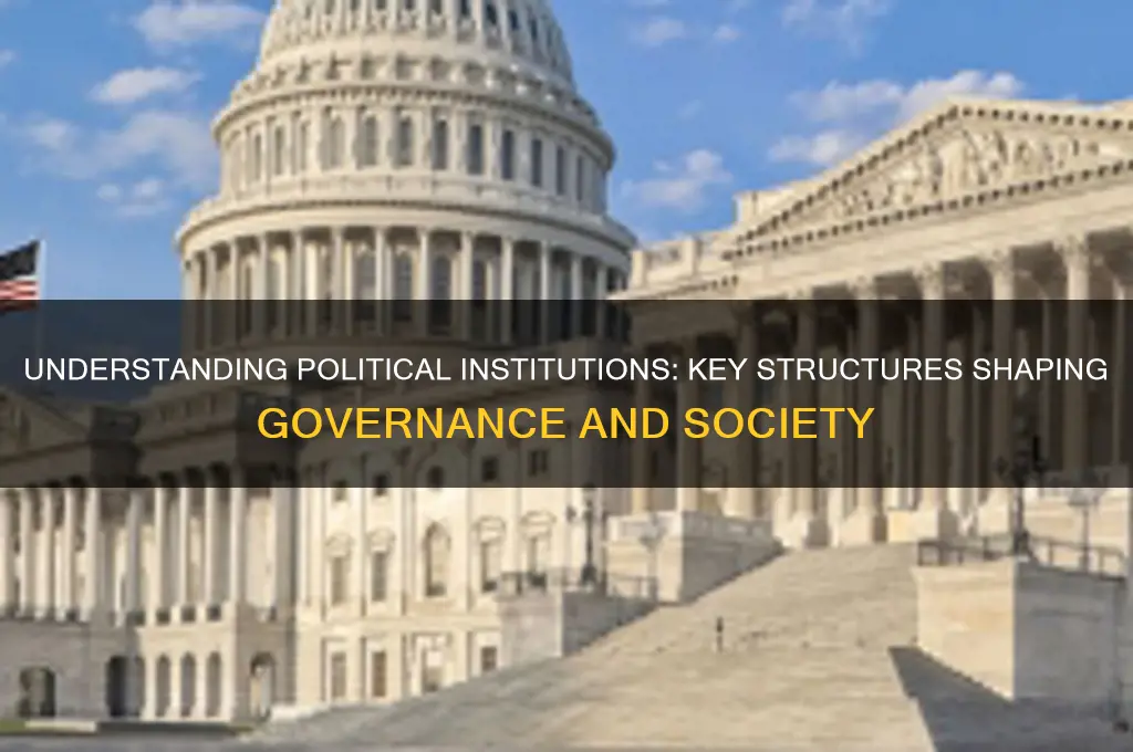 what are some political institutions
