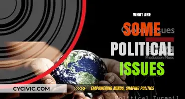 Exploring Key Political Issues Shaping Our World Today