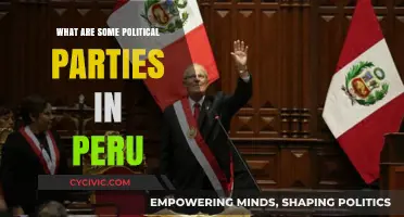 Exploring Peru's Political Landscape: Key Parties and Their Influence
