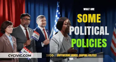 Exploring Key Political Policies Shaping Governance and Society Today