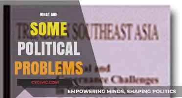 Unraveling Complex Political Problems: Challenges Facing Modern Governance