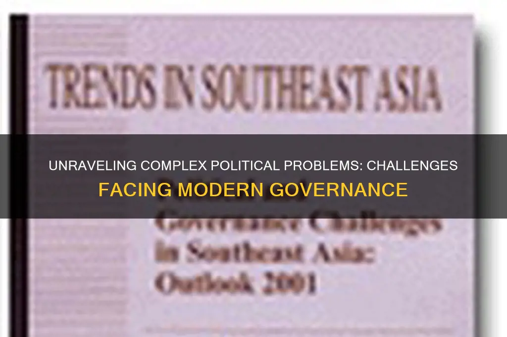 what are some political problems