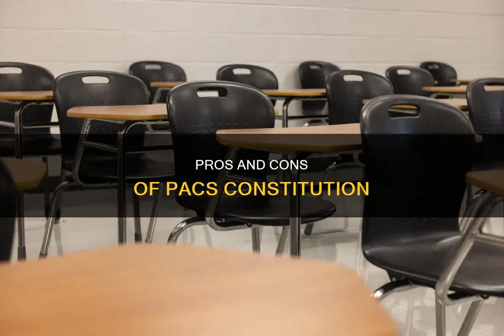 what are some positives and negatives of pacs constitution