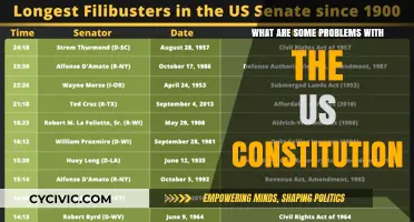 The US Constitution: Flaws and All