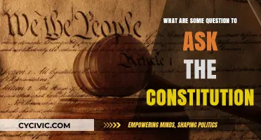 Key Questions to Ask About the Constitution