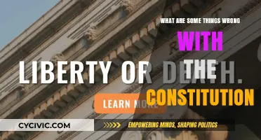 The Constitution: Flaws and All