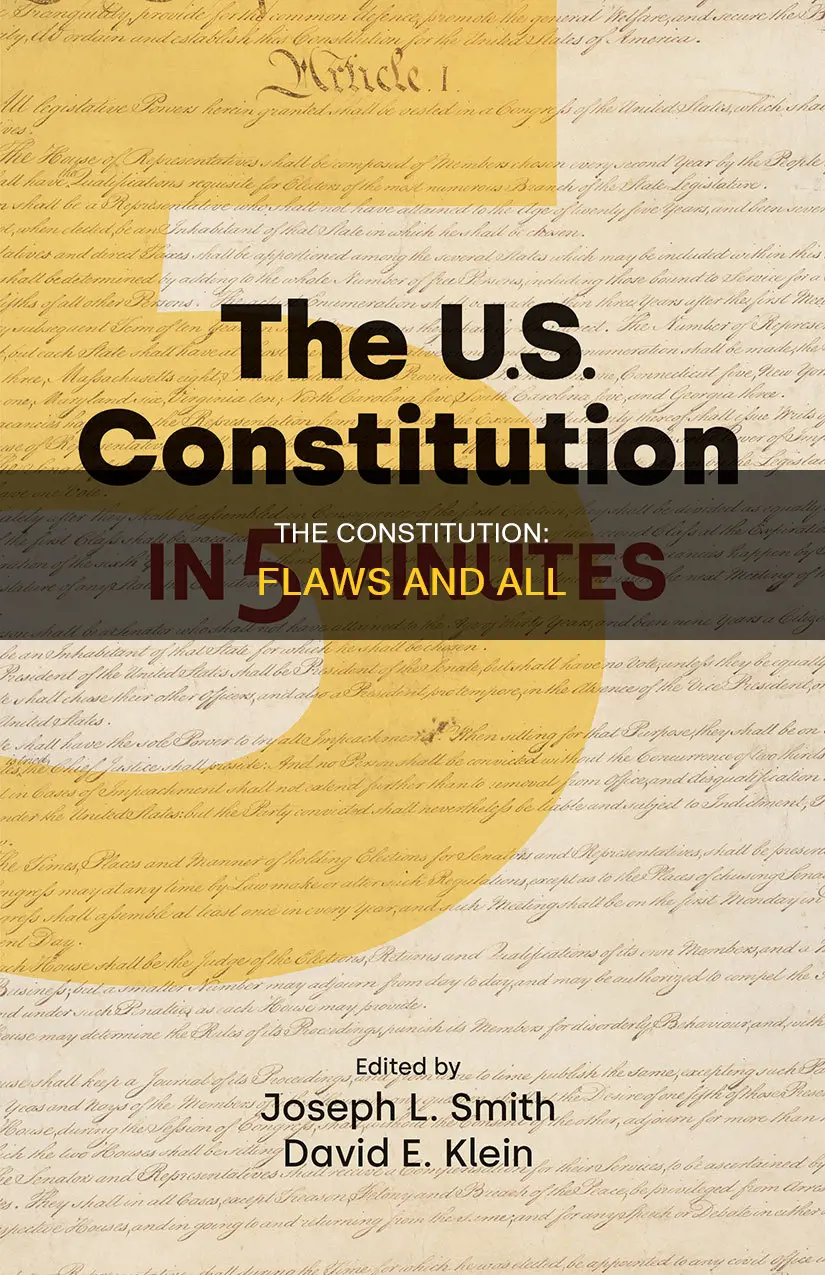 what are some things wrong with the constitution