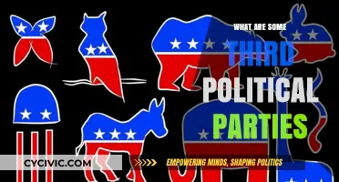 Exploring Third Political Parties: Beyond the Two-Party Dominance