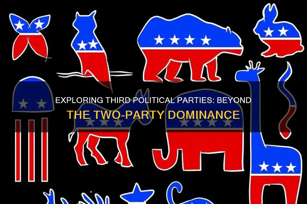 what are some third political parties