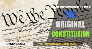 Undemocratic Constitution: Flaws in the Original Document