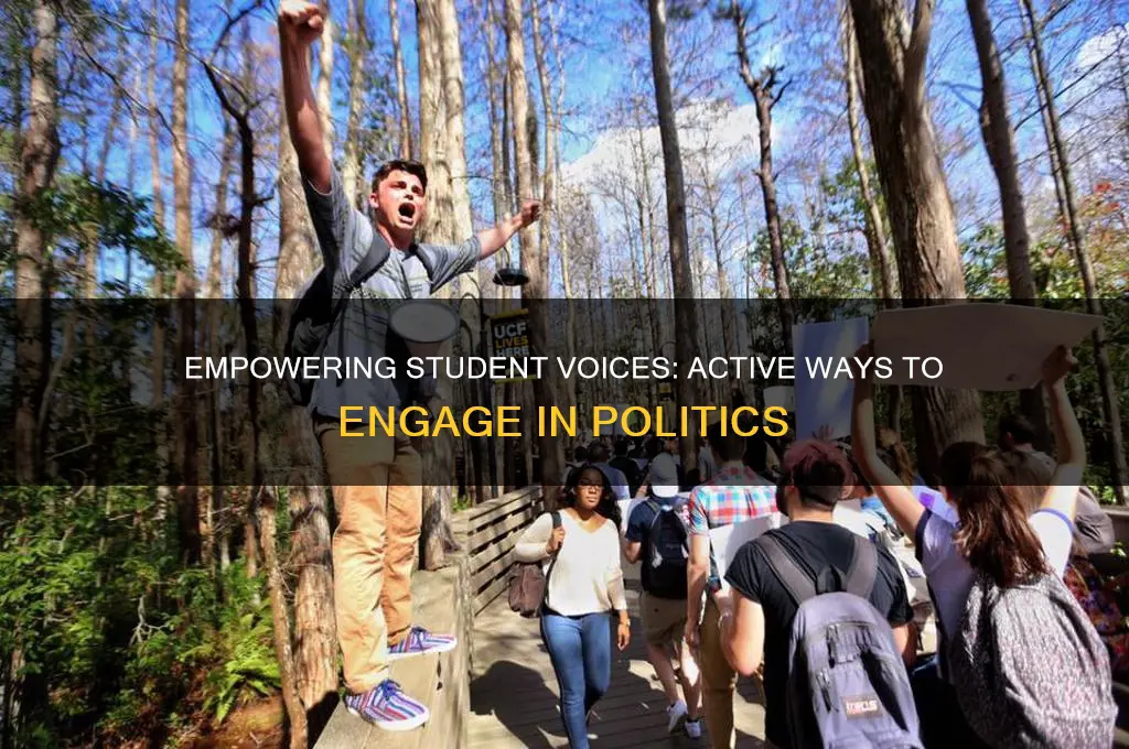 what are some ways that students can participate in politics