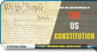 The US Constitution: Flaws and Weaknesses