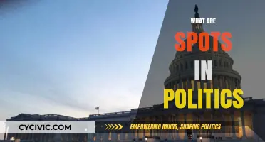 Understanding Political Spots: Roles, Influence, and Strategic Significance Explained