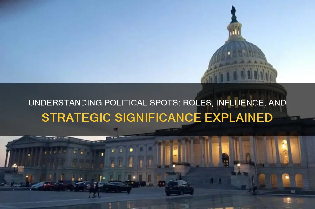 what are spots in politics