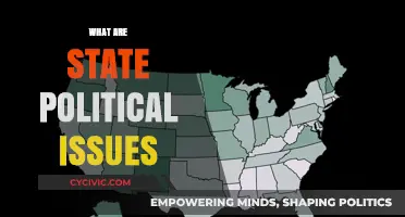 Understanding State Political Issues: Key Challenges and Local Impact