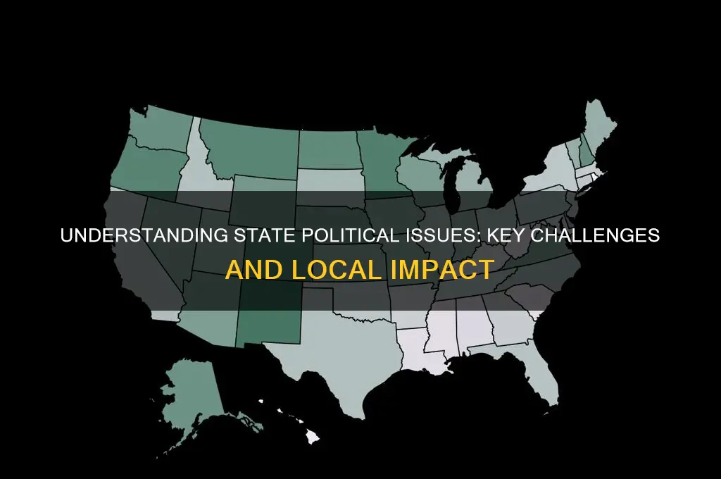 what are state political issues