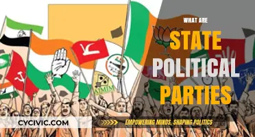 Understanding State Political Parties: Roles, Structures, and Influence Explained