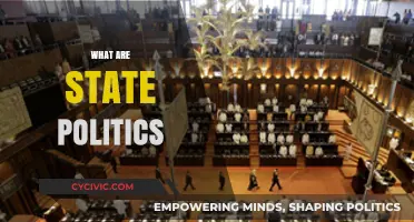 Understanding State Politics: Power, Policies, and Local Governance Explained
