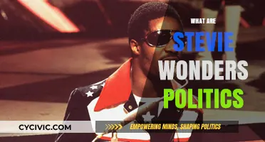 Stevie Wonder's Political Views: Activism, Advocacy, and Social Justice