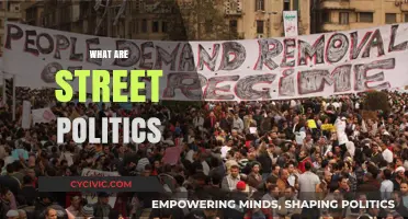 Understanding Street Politics: Grassroots Activism and Public Protest Explained