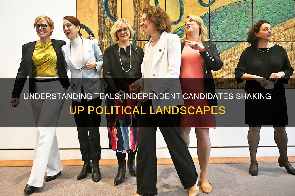 what are teals in politics